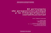 Mj principio proporcionalidad