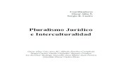 PLURALISMO JURÍDICO E INTERCULTURALIDAD