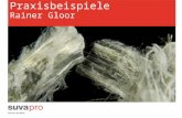 Informationsanlass: Asbest Praxisbeispiele - Suva – SuvaPro