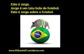 Jorge o Tatu Bola de Brasil