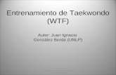 Entrenamiento de Taekwondo (WTF)