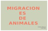 Migraciones animales
