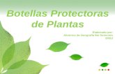 Botellas protectoras de plantas