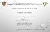 Control y profilaxis de leptospira
