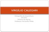 Virgílio calegari