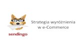 Strategia wyroznienia w Polskim e-Commerce - Aleje IT - Tomasz Kryk