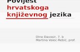 Povijest hrvatskoga književnog jezika