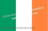 Crisis de irlandesa