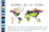 Biomes Temperats