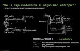 DE LA CAJA ISOTÉRMICA AL ORGANISMO ENTRÓPICO (conferencia CONSTRUARQ 2013)