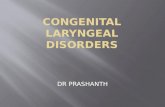 Congenital laryngeal disorders