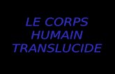 Corps Humain Translucide 281