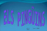 Power Point PingüIns
