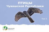Презентация книги "Птицы Чувашской Республики. Том 1"