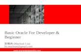 Basic oracle for developer&beginner