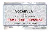 Familiae Romanae Vocabula (IX)
