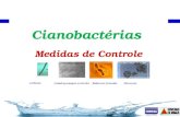 Apresentação medidas controle cianobactérias