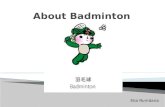 About badminton