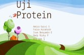 PPT Uji Protein