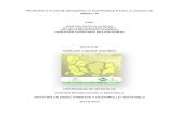 Propuesta de desarrollo sostenible  municipio de medellín 2012