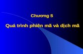 Dth chuong 4-phien mavadichmavan