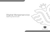 Digital Borgerservice af Marianne Carlsen og Jakob Schou Pedersen