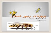 پروژه ی زنبور عسل (honey bee)