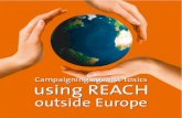Campaign agains toxics using reach outside_europe 리치 활용하기 자료집 (2012)