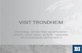 Frode Solberg, BI Trondheim, ”Kompetanseutvikling som konkurransefaktor i reiselivet”