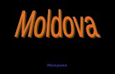 Молдова 2006-2007