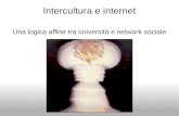 Intercultura e Internet