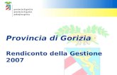 Consuntivo 2007 - Provincia di Gorizia
