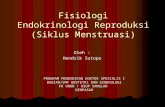 Endokrinologi reproduksi siklus menstruasi