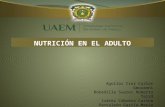Expo 15 Nutrición en el adulto