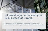Hanne Heiberg MET 2014-10-04 Røde Kors Rapport 2014