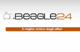 Presentazione di Beagle24 - Sistema Startup 2013