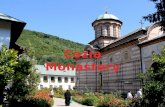 Cozia monastery