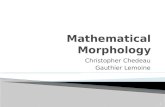 Morpho math