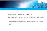 Puupohjainen bio-SNG - Kaasutusteknologian kehitysnäkymiä