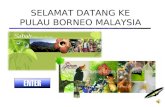 Pulau borneo malaysia