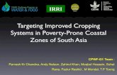 Targeting Improved Cropping Systems in Poverty-Prone Coastal Zones of South Asia