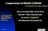 L'esperienza di Brain 2 Brain (raccontata a +Blog 2008)
