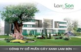 Thiết kế profile công ty cổ phần cây xanh Lam Sơn