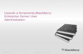 16 usando a ferramenta black berry enterprise server user administration