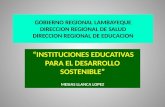 INSTITUCIONES EDUCATIVAS PARA EL DESARROLLO SOSTENIBLE