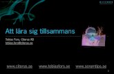 Att Lära Sig Tillsammans - Tobias Fors - Agila Sverige 2009