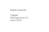 Mobilt lärande Ett Taggat Stenugnssund 13mars 2012