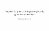 Anatomia y tecnica quirurgica de glandula tiroides duarte 10-09-12