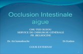 Occlusion intestinale