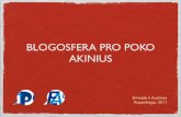 Lietuvos blogosfera pro Poko akinius